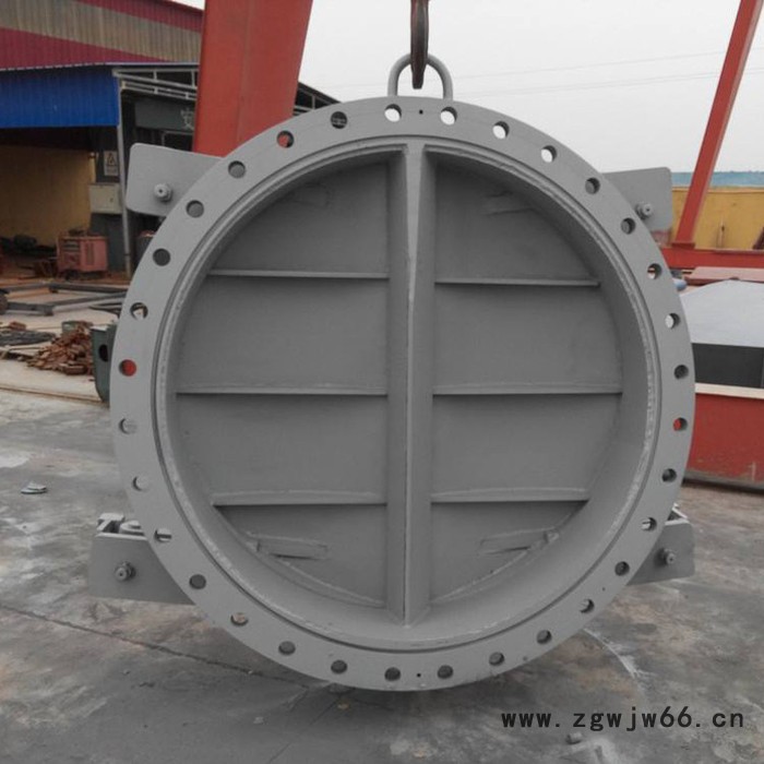 蝶式dn2200玻璃钢拍门  自动直通式拍门图3