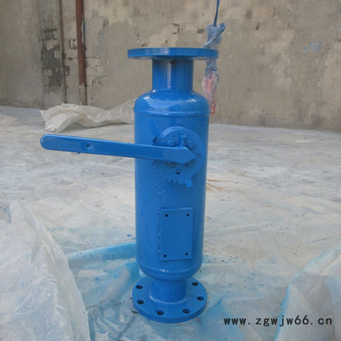 反冲洗过滤器 直通式除污器 雅安反冲式过滤器图3