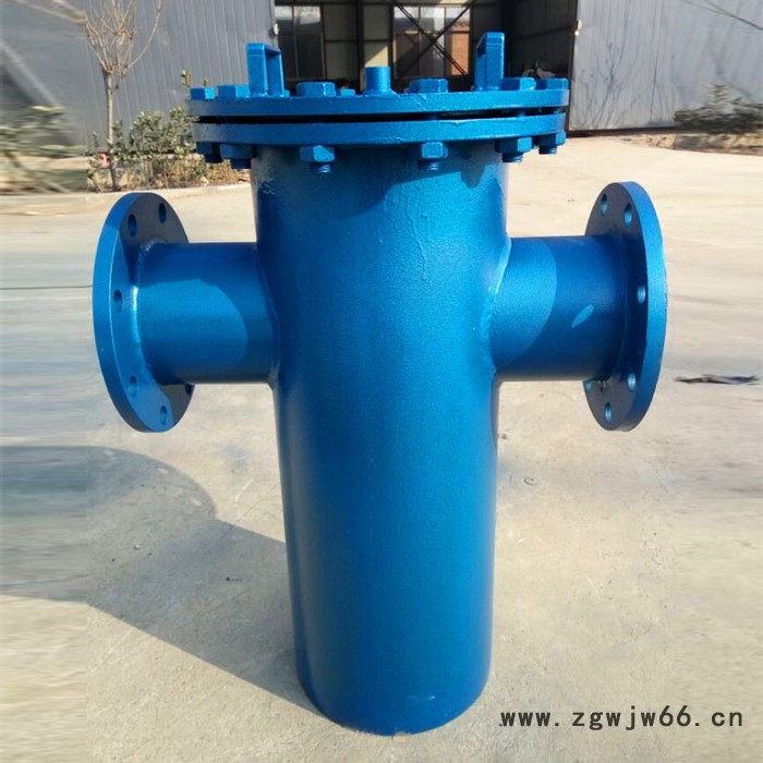 枣庄篮式过滤器生产厂家 立式直通毛发过滤器 高低篮式过滤器支持定制图4