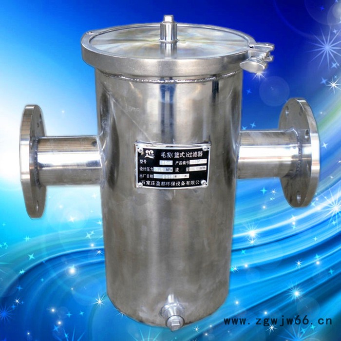 蓝式过滤器 DN50毛发收集器 柳州立式直通毛发过滤器图6