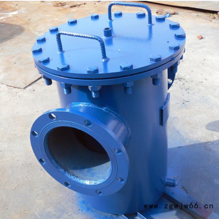 直筒提篮式除污器 宝鸡篮式过滤器生产厂家 立式直通毛发过滤器图8