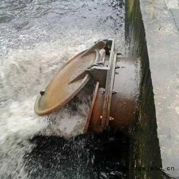 **  铸铁阀门 拍门 红色拍门 铸铁拍门 直通式铸铁拍门 湖北铸铁拍门图2