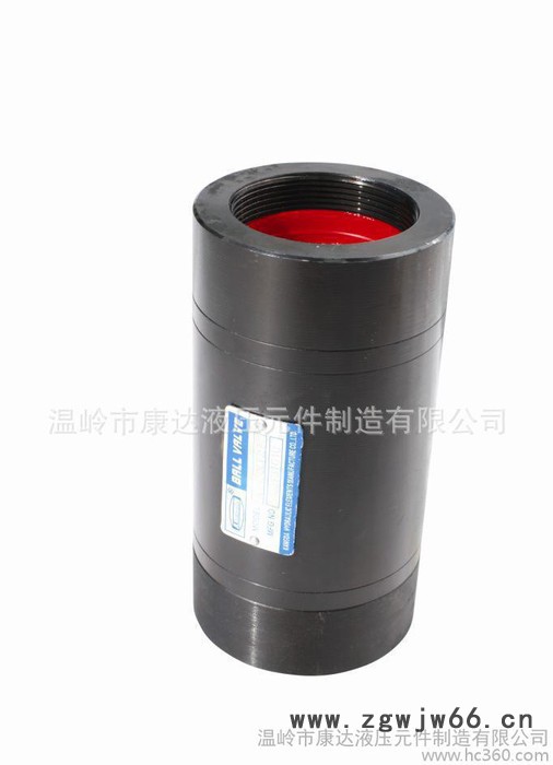 **直通单向阀CIT-16图3