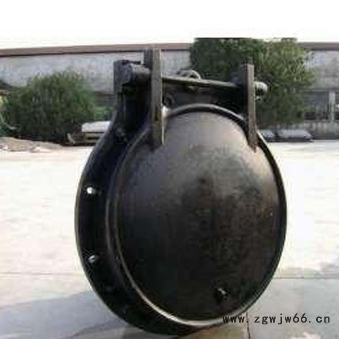 批发新款  节能型侧翻拍门 拍门 双开拍门 铸铁拍门 直通式铸铁拍门 吉林铸铁拍门图2