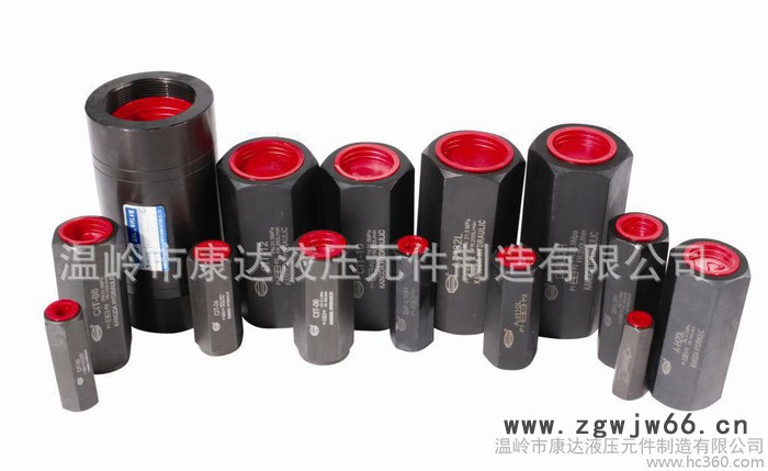 厂家直通单向阀DIF-L20H图3