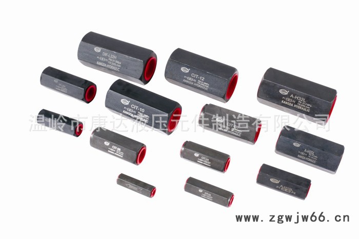 厂家直通单向阀DIF-L20H图2