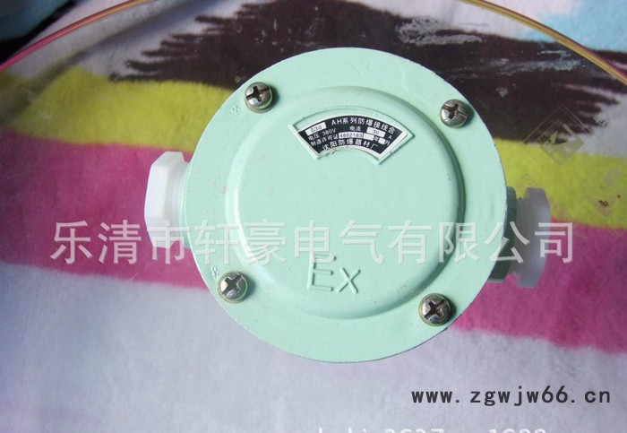 供应AH防爆接线盒直通 一寸 G1 2通 防爆电器图2