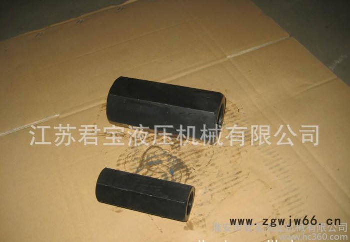 高品质DIF-L10H1系列直通单向阀图2