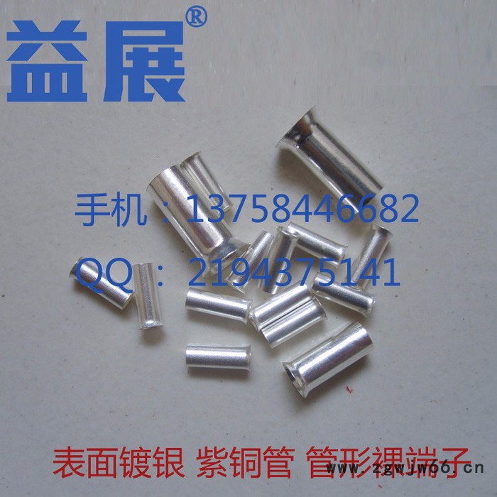 **紫铜镀银环保喇叭口管形裸端头EN1008管型端子空心直通接线管益展**图6