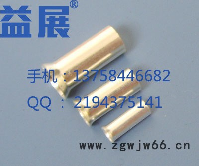 **紫铜镀银环保喇叭口管形裸端头EN1008管型端子空心直通接线管益展**图5