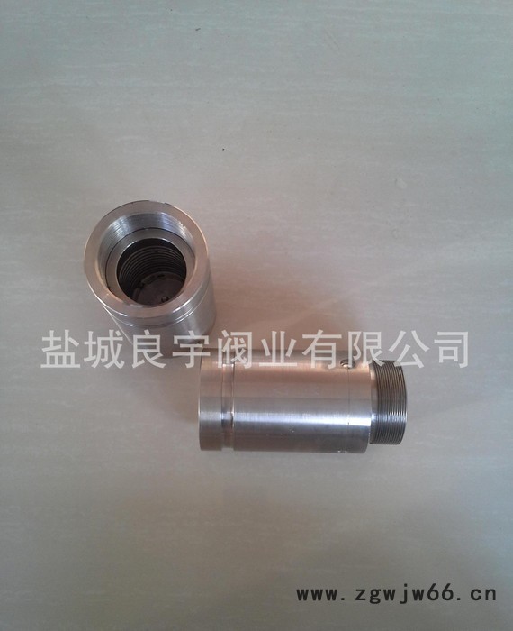 直通双相钢22O5高压单向阀/止回阀图2