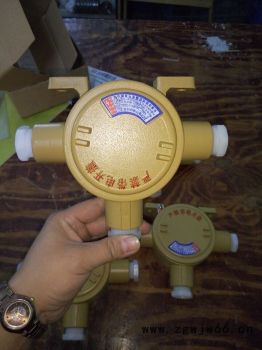 供应防爆接线盒/防爆吊灯盒/直通 三通(IIB IIC e)