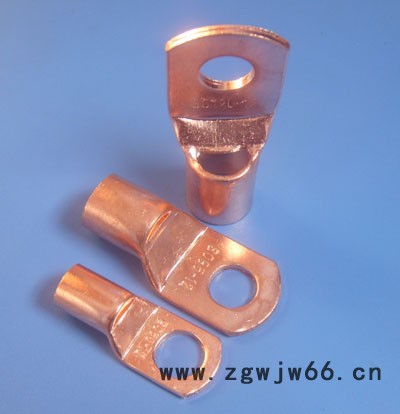 GT-2.5铜连接管 铜管通孔型  直通管接线端子 电线连接管 铜管裸端子厂家图5