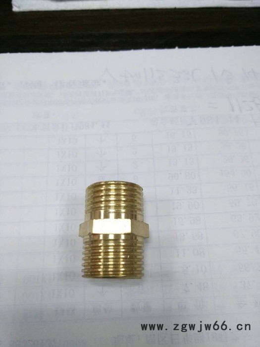 日丰 PPR铜制 外牙直通 4分直通