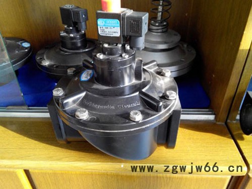 DMF-T直通式电磁脉冲阀图2