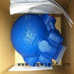 英国斯派莎克FT14 直通式蒸汽疏水阀图3