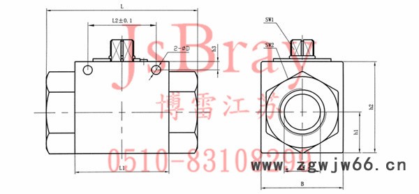 DN50直通高压球阀 VH2V直通高压球阀图2