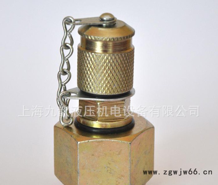 上海液压接头不锈钢液压直通欧美标准图2