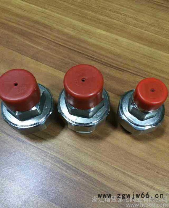 露亿 不锈钢PPR活接 不锈钢活结 ppr外丝活接 外牙直通活接图2