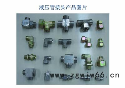 专业生产厂家供应 端直通连接头 碳钢接头 不锈钢接头 接受订制图2