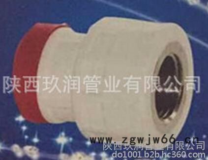 玖润管业——德标牌PP-R内螺纹直通