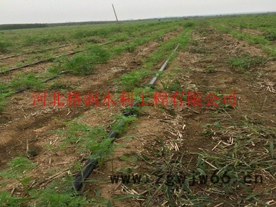 滴水软带|陕西生产厂家直通报价 滴灌带图2