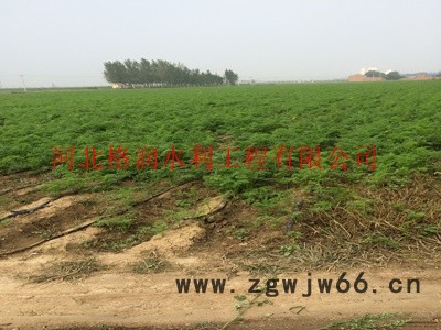 滴水软带|陕西生产厂家直通报价 滴灌带图3