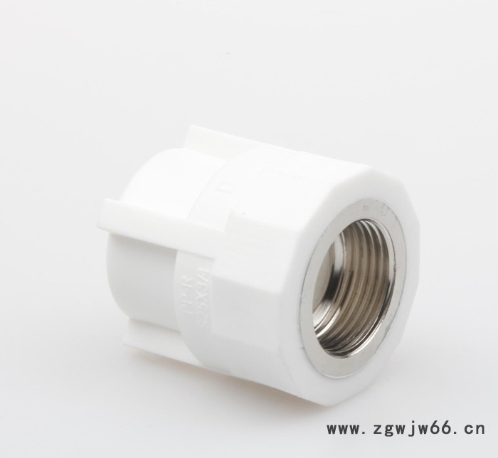 弘大专用前置过滤器内螺纹直通PPR 6分热熔转接口一对装 直销图2