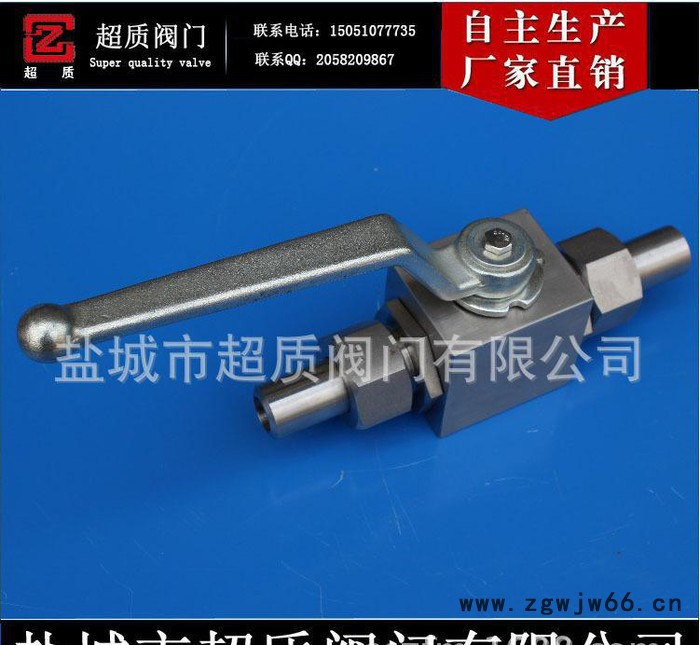 天然气高压球阀卡套式直通球阀Q21N-420图3