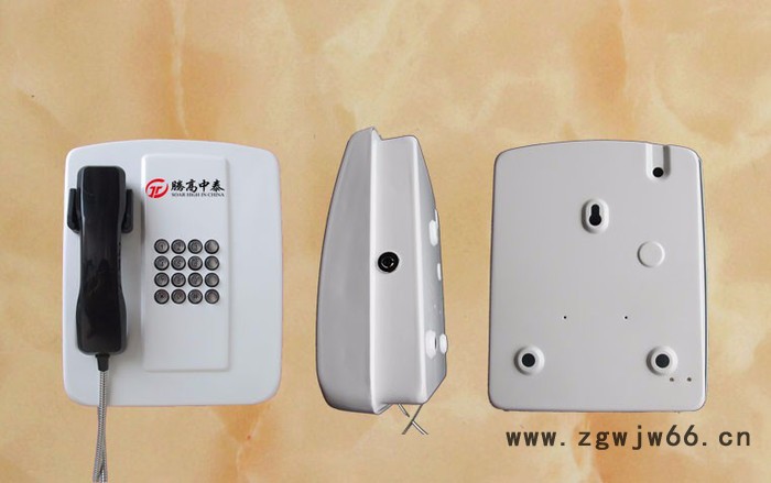 腾高 TG-HA-S3 厂区铁壳共 免拨号电话,景区电话机键直通电话图2