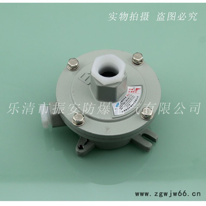 防爆接线盒  G1/2“直通 三通  吊通各种规格   振安防爆图2
