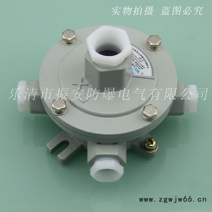 防爆接线盒  G1/2“直通 三通  吊通各种规格   振安防爆图3