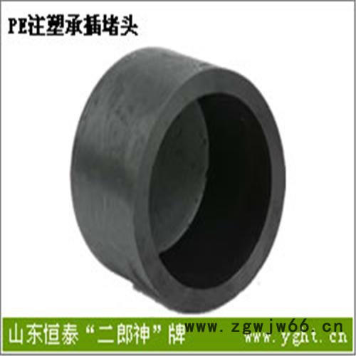 PE注塑承插等径直通PE注塑承插堵头PE注塑法兰根图2