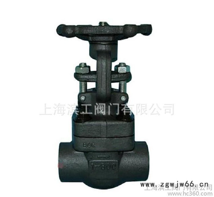 直销 锻钢波纹管丝扣闸阀WZ11H 直通式锻钢丝扣闸阀图2