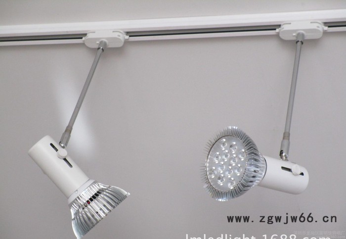 定做展览专用射灯 展厅暖光射灯 新款直通射灯 30CM长臂射图3