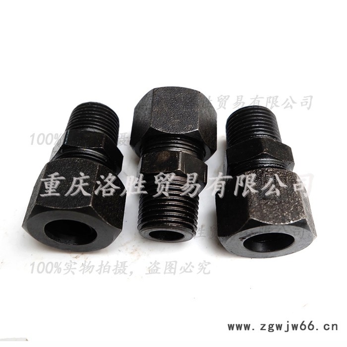 卡套直通 碳钢接头 胶管接头 Φ16-ZG1/2图2