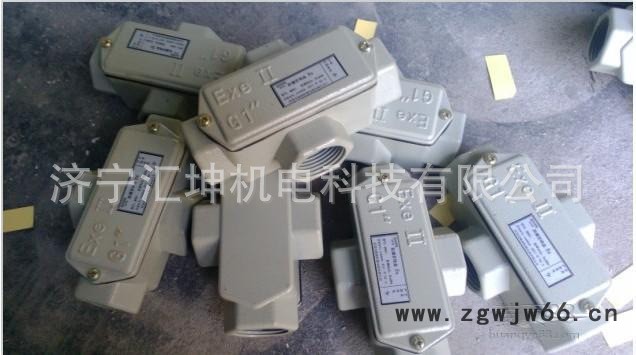 BCH系列防爆穿线盒(eⅡ、DIP) 防爆穿线盒 直通图3