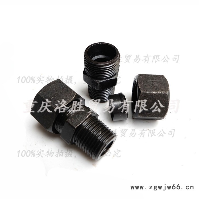 卡套直通 碳钢接头 胶管接头 Φ16-ZG1/2图3