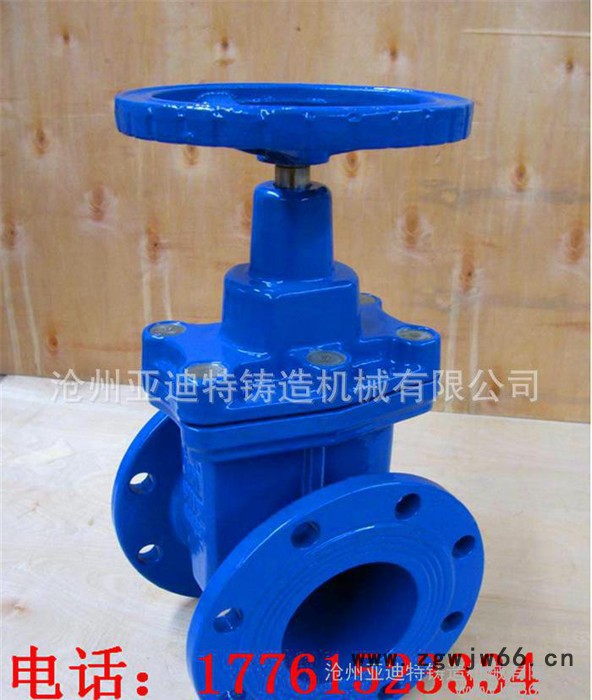 软密封闸阀Z45X-10/16≤120℃直通式40-500闸图3