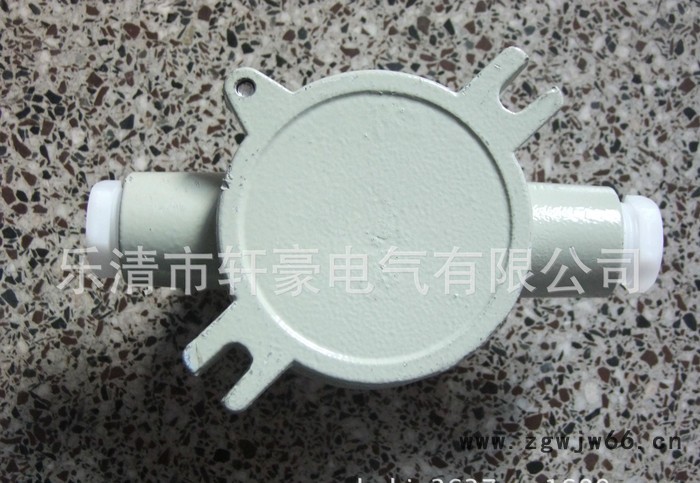 供应C级-AH-二平CT6直通一寸 防爆接线盒 防爆电气图2