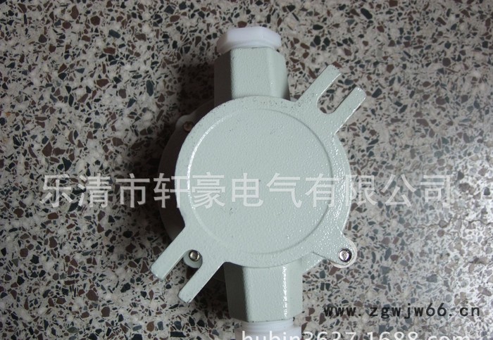 供应AH6分 3/4 DN20 防爆直通两通接线盒 防爆电气图2