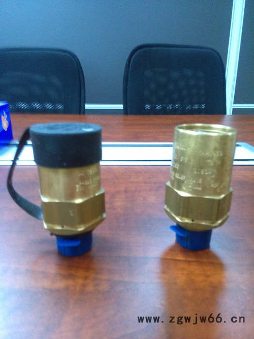 REGo力高 3131G黄铜直通式螺纹安全阀图2