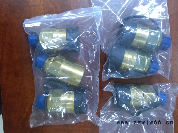 REGo力高 3131G黄铜直通式螺纹安全阀图3