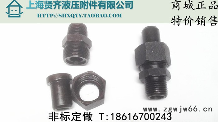 液压接头 油管接头 船用接头 流体接头 焊接锥直通接头 50-ZG11/2