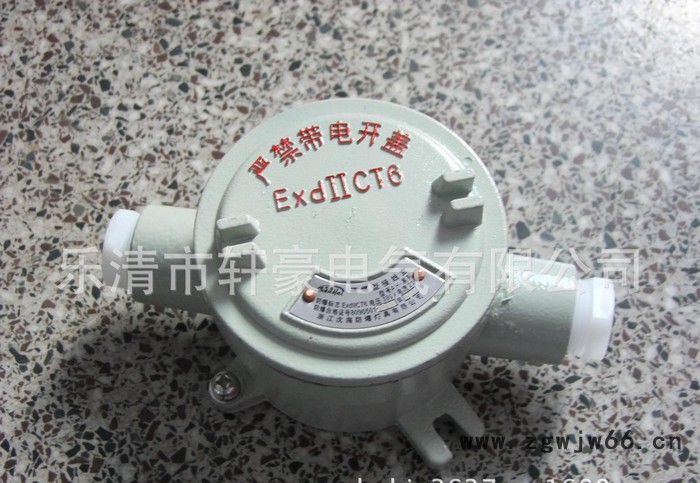 供应**C级-AH-二平CT6直通1/2 四分内径是DN15防爆接线盒