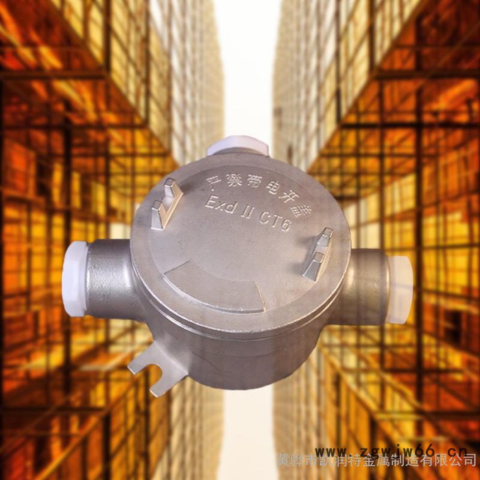 ** 不锈钢防爆接线盒 防爆分线盒 直通 三通 四通 石油化工专用 ⅡC级防爆 接线盒 支持实地验厂图4