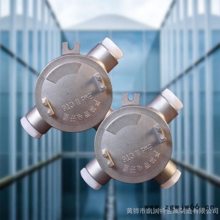 ** 不锈钢防爆接线盒 防爆分线盒 直通 三通 四通 石油化工专用 ⅡC级防爆 接线盒 支持实地验厂图6