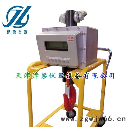 1T-100T防爆电子吊秤 电子吊钩秤/无线电子吊钩秤图2