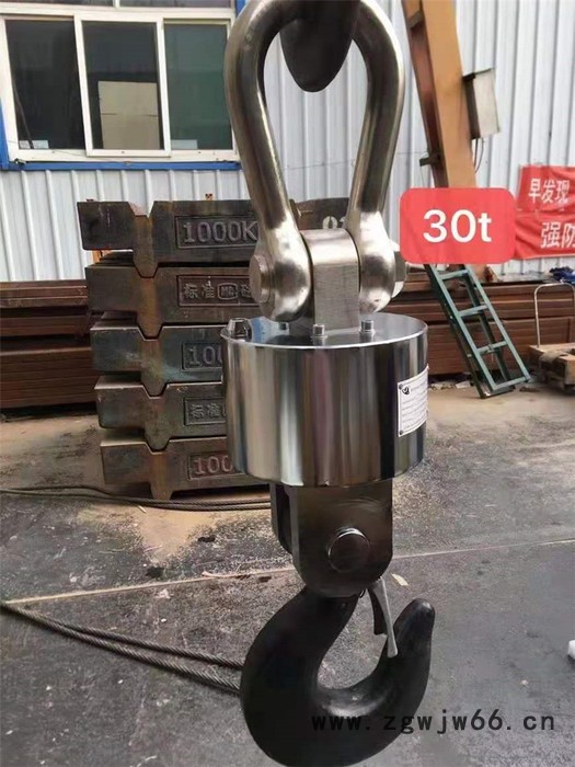 吊钩秤 直视电子吊钩秤 无线吊钩秤 吊钩秤生产厂家 吊钩秤价格；采用传感器和仪表；美观大方，经久耐用图4