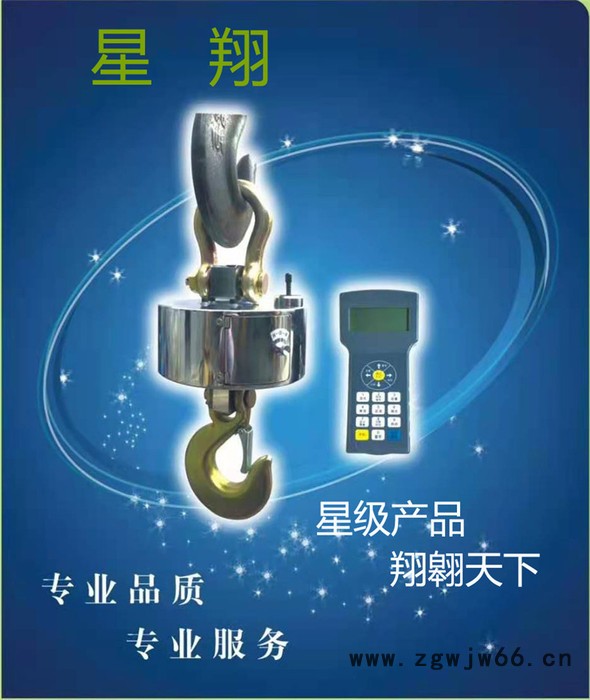 吊钩秤 直视电子吊钩秤 无线吊钩秤 吊钩秤生产厂家 吊钩秤价格；采用传感器和仪表；美观大方，经久耐用图8